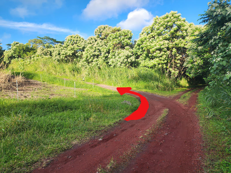 Turn left landmark 2