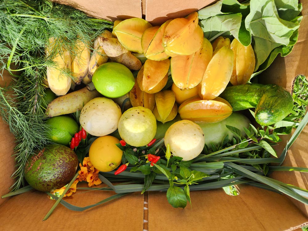 Farm food box harvest