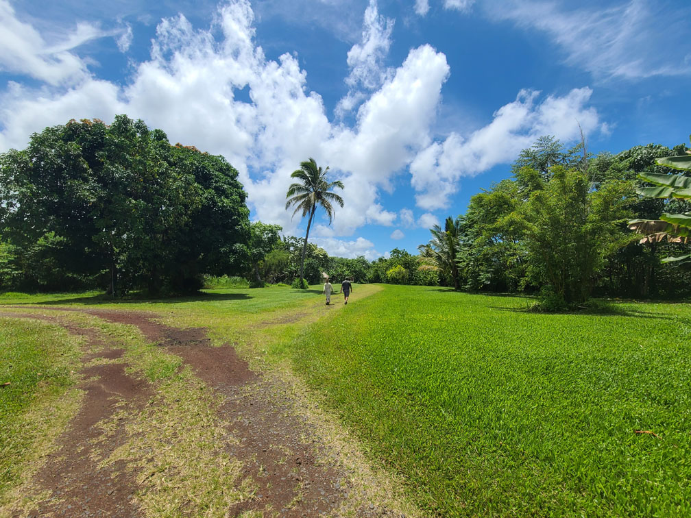 View across the land