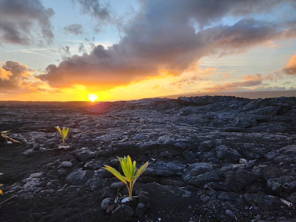 Sunset over the lava field